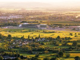 ENVOI THE ENVY OF PUNTERS – CHELTENHAM DAY 2 ENVOI THE ENVY OF PUNTERS