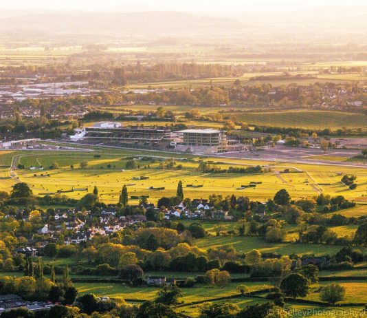 ENVOI THE ENVY OF PUNTERS