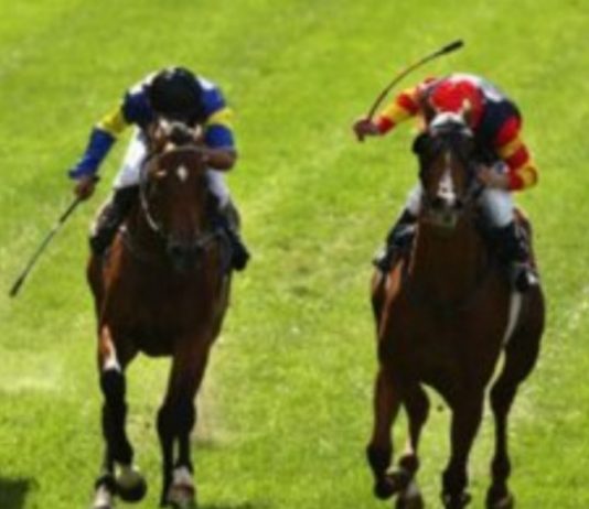 Coronavirus halts BHA whip offences investigation