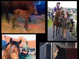 Fasterkhani suffers fatal injury during exercise