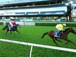 Marquand-Addeybb win G1 Queen Elizabeth Stakes in Australia Addeybb gains a 2 3/4 length win ahead of Verry Elleegant, under Tom Marquand.
