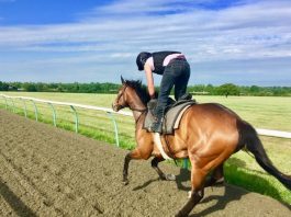 Trainer John Berry on course with Hopels High