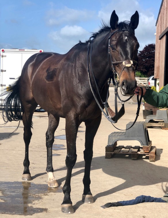 Flat and double bumper winner, December Second runs at Newcastle on June 1.