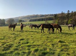 NHS workers and carers are in my thoughts