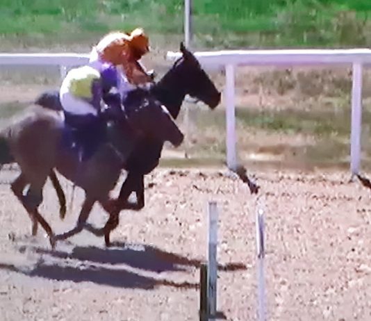 Zodiakos (orange cap) gets up to beat Al Ozzdi at Newcastle.