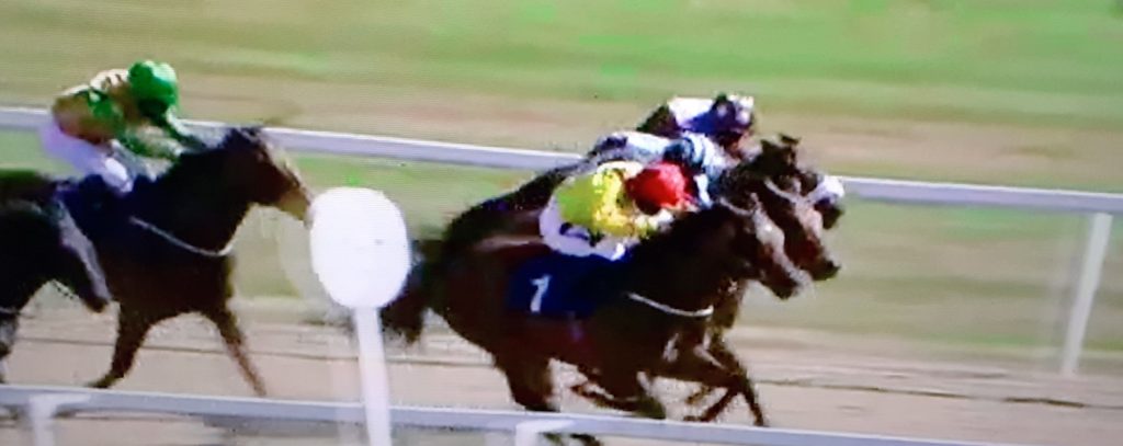  Queen Of Kalahari (red cap) driving win under jockey Lewis Edmunds: 10-1 tip completed 70-1 double.