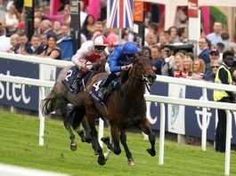 Can Pinatubo maintain his unbeaten record and win the first Classic of the new flat season?