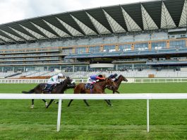 Queen-owned First Receiver and Frankie Dettori thwarted by Russian Emperor in Hampton Court Stakes at Royal Ascot Hampton Court Stakes