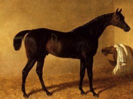 DR IN THE HOUSE! Dr Syntax began his career at Catterick Bridge