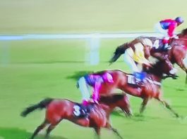 Tell William completes fromthehorsesmouth.info Newbury 216-1 accumulator Tell William completed fromthehorsesmouth.info Newbury 216-1 accumulator.