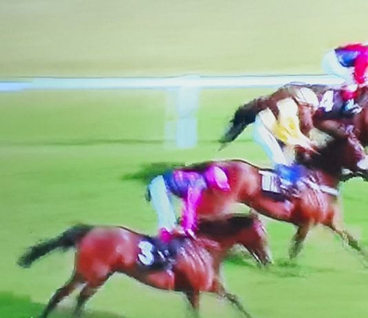 Tell William completed fromthehorsesmouth.info Newbury 216-1 accumulator.