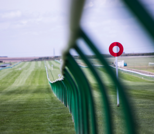 Flat racing programme for August published amid the Covid-19 by the BHA Flat racing programme for August published amid the Covid-19 by the BHA