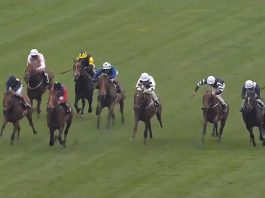 Stars Cactus completes fromthehorsesmouth.info Ascot treble