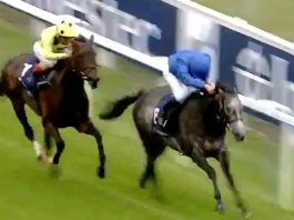 Summer Romance (9-1) completes fromthehorsesmouth.info 46-1 Epsom treble Summer Romance (9-1) completes fromthehorsesmouth.info 46-1 Epsom treble