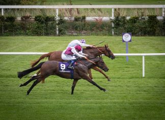 300-1 shock He Knows No Fear record win at Leopardstown 