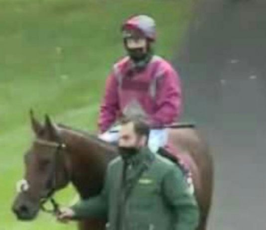 Kirby trained Stargazer 50-1 surprise at Haydock Park Kirby trained Stargazer 50-1 surprise at Haydock Park