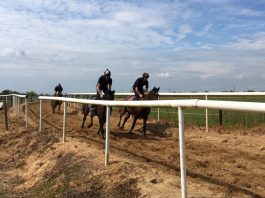 A touch of Magic from O’Brien in Ascot Qipco Champion Stakes A touch of Magic from O'Brien in Ascot Qipco Champion Stakes