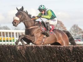 Nicholls eyes seventh Betfair Chase with Clan Des Obeaux at Haydock Clan Des Obeaux looks amazing - as good as ever - trainer Paul Nicholls.