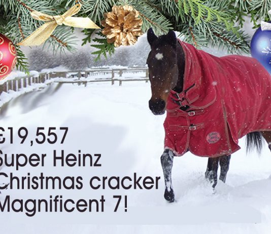 £19,557 Super Heinz Christmas cracker Magnificent 7!