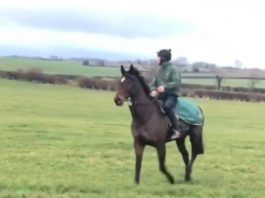 Happy Kirby shines in purple-patch Phil Kirby overlooks his string of horses up on Bushypark.