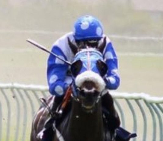 Lord Of The Lodge eyes Betway Conditions Stakes success at Wolverhampton
