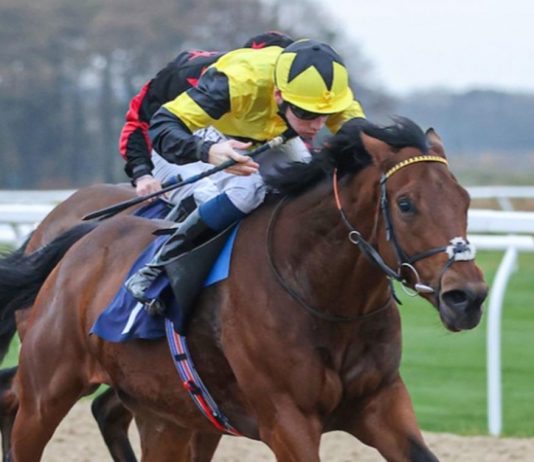 Callum Shepherd rode Final Voyage to win the Ladbrokes C4 Nursery at Wolverhampton.