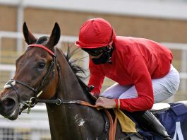 Thomas Greatrex rode Pink Jazz (13-2) to victory completing £10,907 Super Heinz.