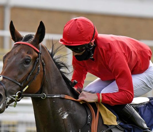 MAGNIFICENT 7 Thomas Greatrex rode Pink Jazz (13-2) to victory completing £10,907 Super Heinz.