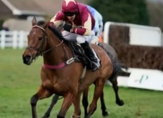 The Two Amigos: fromthehorsesmouth.info ew tip 2nd in Coral Welsh Grand National.