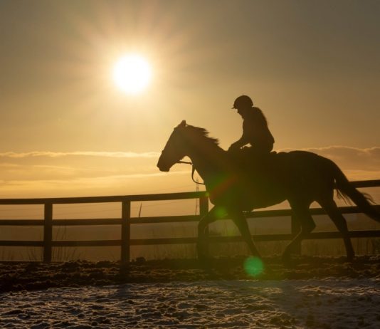 RACING UNDER THE ‘COSH’ OF CORONAVIRUS RACING UNDER THE 'COSH' OF CORONAVIRUS
