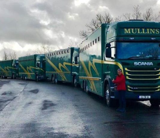 MULLINS ENTOURAGE ROLLS ON TO CHELTENHAM! MULLINS ENTOURAGE ROLLS ON TO CHELTENHAM!
