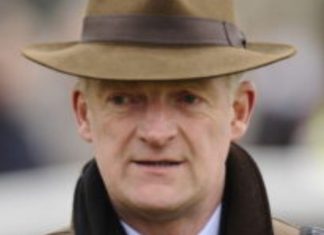 Willie Mullins trained Gaillard Du Mesnil fromthehorsesmouth.info tip.