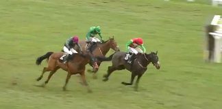 Nicholls trained Enrilo tipped by fromthehorsesmouth.info lands Betfair Novices Handicap Chase