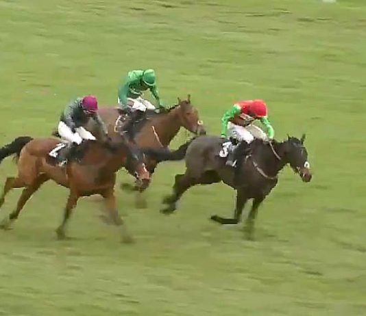 Nicholls trained Enrilo tipped by fromthehorsesmouth.info lands Betfair Novices Handicap Chase Nicholls trained Enrilo tipped by fromthehorsesmouth.info lands Betfair Novices Handicap Chase