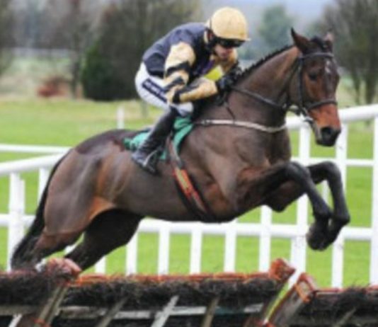  Bellshill: Fatal injury denied 2021 Aintree Grand National run.
