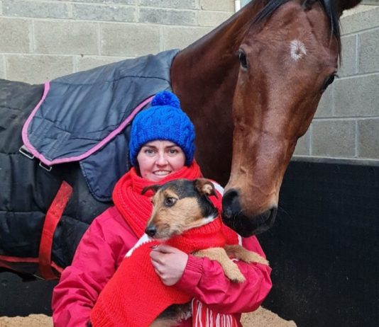 Heartbroken groom Seainin set to lead-up Envoi Allen at Cheltenham Festival Heartbroken groom Seainin set to lead-up Envoi Allen at Cheltenham Festival