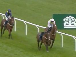 MONKFISH LANDS MULLINS 74TH CHELTENHAM WIN