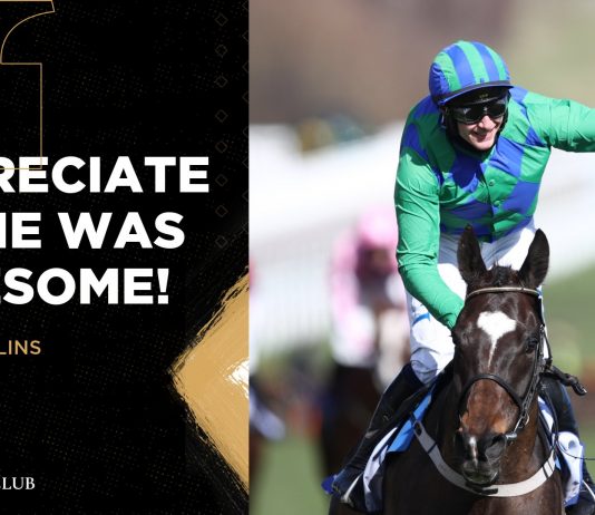 Appreciate It and Shiskin combined 36 lengths Cheltenham rout as duo bolt up! Appreciate It outclasses them all in the @SkyBet Supreme Novices' Hurdle, to give trainer @WillieMullinsNH a seventh win in the race