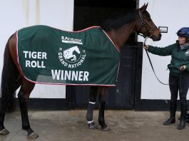 Tiger Roll withdrawn from Aintree Grand National