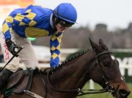 Danny Mullins rode Stormy Judge (8-1) tipped by fromthehorsesmouth.info Navan win. Photo: Twitter