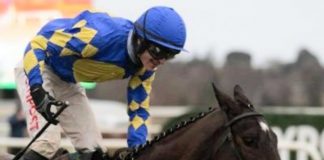 Danny Mullins rode Stormy Judge (8-1) tipped by fromthehorsesmouth.info Navan win. Photo: Twitter