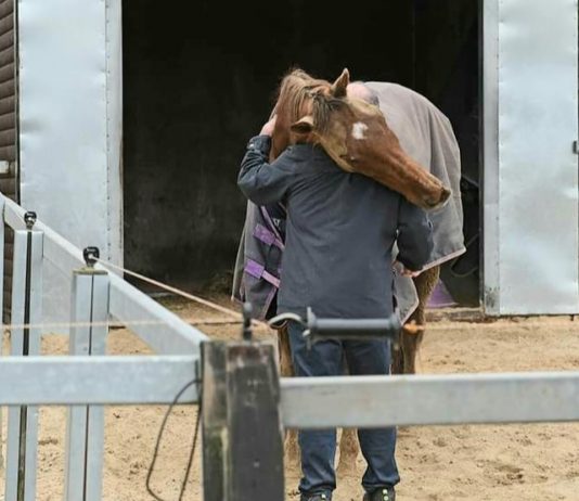 A hug for Definitly Red from trainer Brian Ellison. Photo: Brian Ellison Racing.