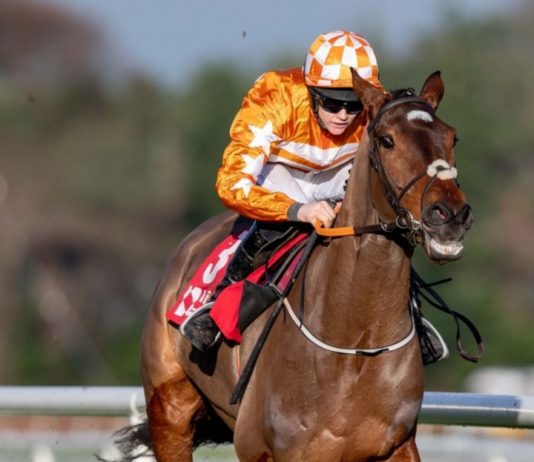 ALTIOR OUT TO PROVE DOUBTERS Put The Kettle On: Out to thwart Altior (3.05).