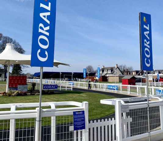 Aye Right out to land Scottish Grand National at Ayr