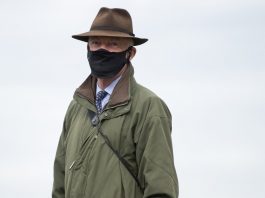 Mullins’ Elimay tipped to win BoyleSports Leopardstown Listed Mares Chase Willie Mullins saddles Elimay (2.20) with M. P Walsh up, tipped to win the BoyleSports Listed Mares Chase on Saturday at Leopardstown