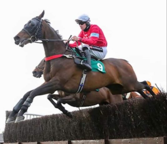 Cartmel stage 156th Whit Holiday race meeting Cartmel trainer James Moffatt saddled Burbank to win at Aintree on May 14 under Brian Hughes.