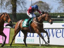 Channon’s Storting nets historic Cliff Stud Thirsk Hunt Cup Mick Channon trained Storting ridden by Tony Hamilton won Cliff Stud Thirsk Hunt Cup.