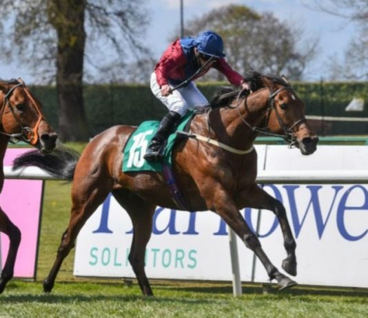 Channon’s Storting nets historic Cliff Stud Thirsk Hunt Cup Mick Channon trained Storting ridden by Tony Hamilton won Cliff Stud Thirsk Hunt Cup.