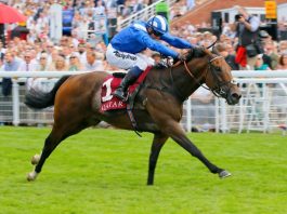Liberty Beach head-to-head Royal Ascot King’s Stand Stakes showdown with Battaash Battaash defending Royal Ascot King’s Stand Stakes after small fracture.
