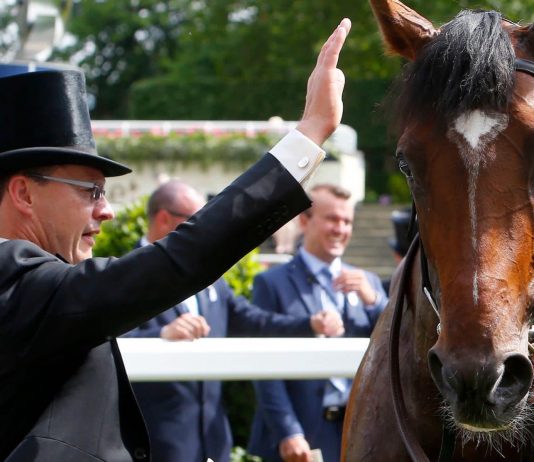 O’Brien duo Love and Armoury to go to post in Prince of Wales’s Stakes at Royal Ascot? Aidan O'Brien at Royal Ascot